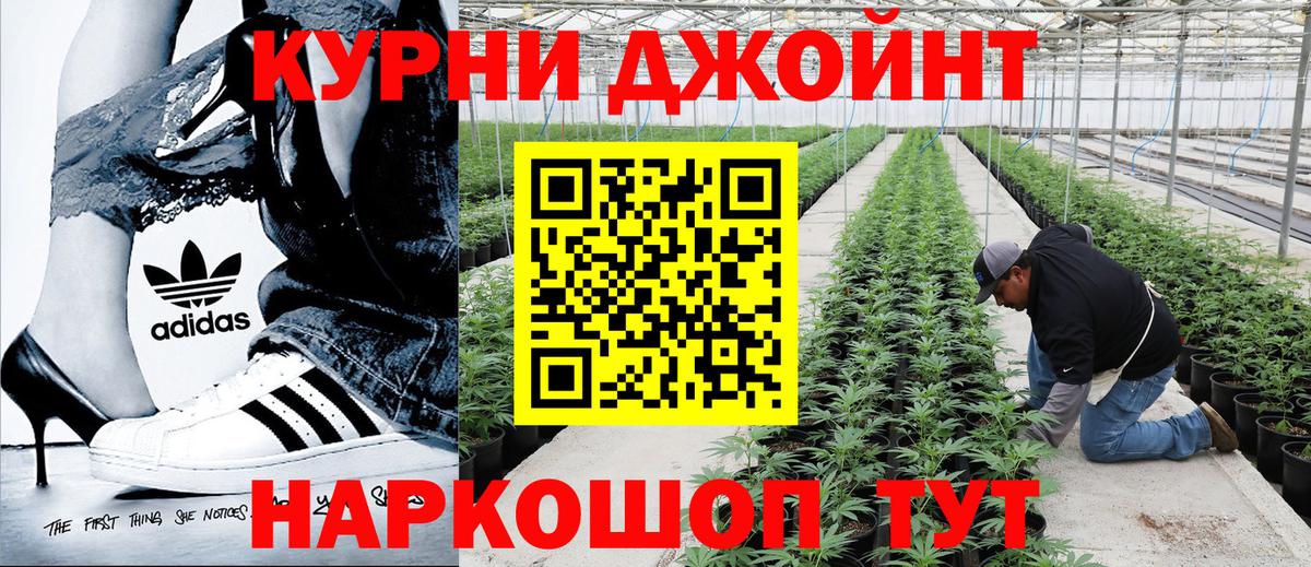 Бошки Шишки OG Kush  Бошки Шишки гибрид  Лиски  Конопля индика  Вход с VPN 